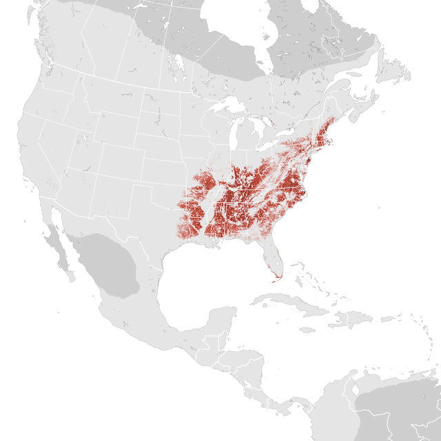 Abundance Map