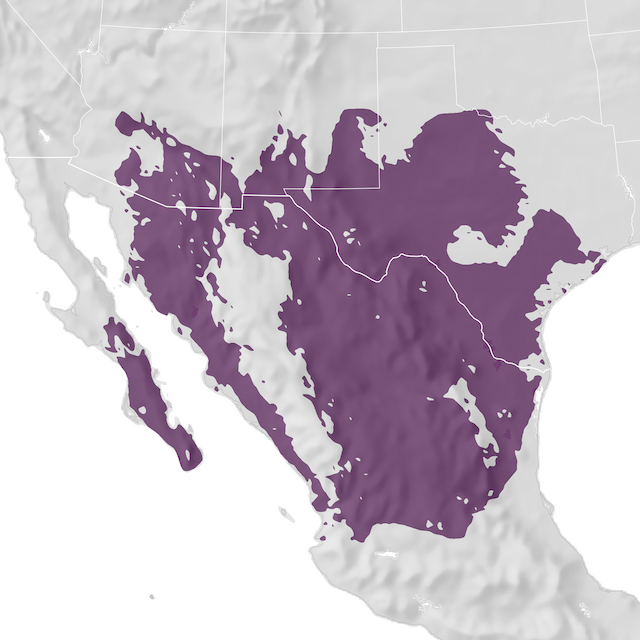 Range Map