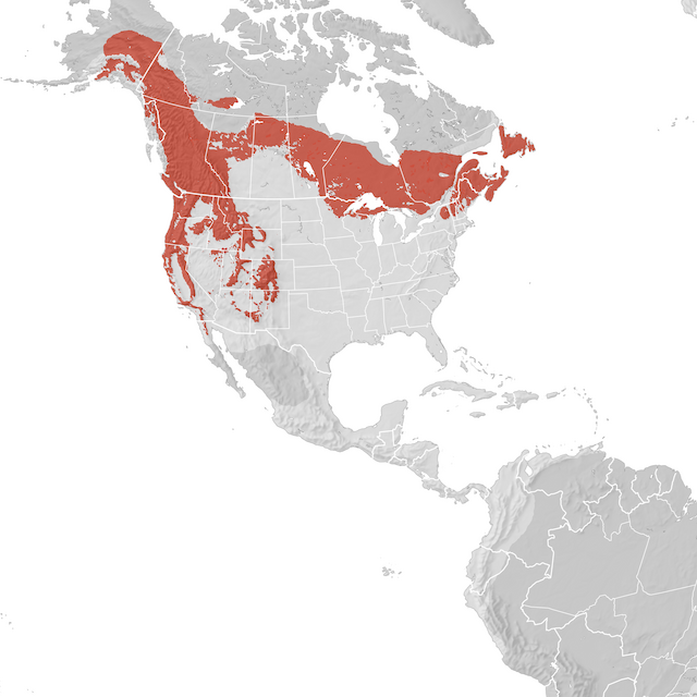 Range Map