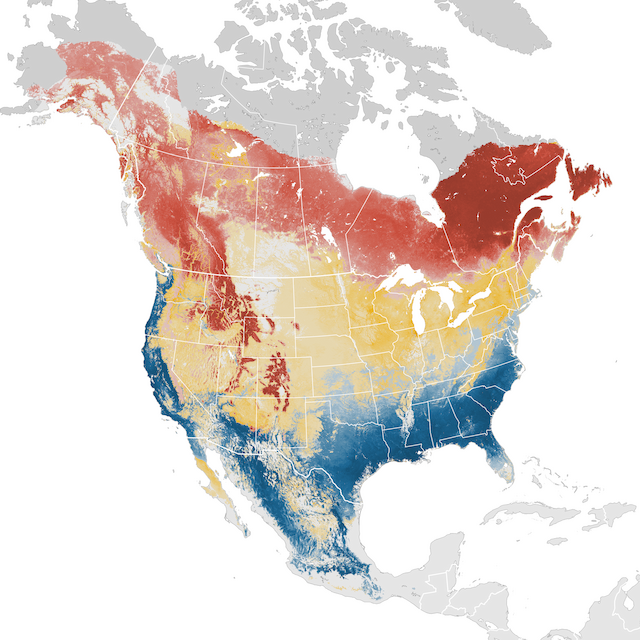 Abundance Map
