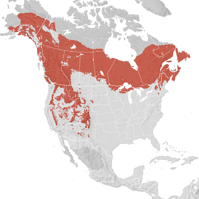 Range Map