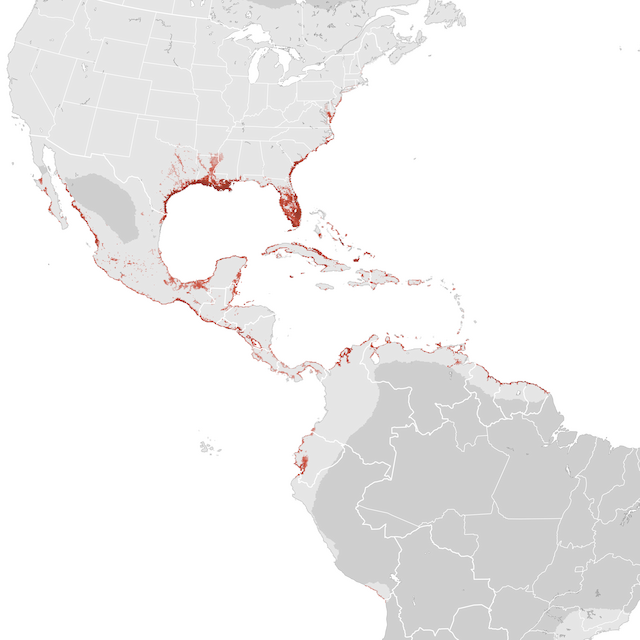 Abundance Map