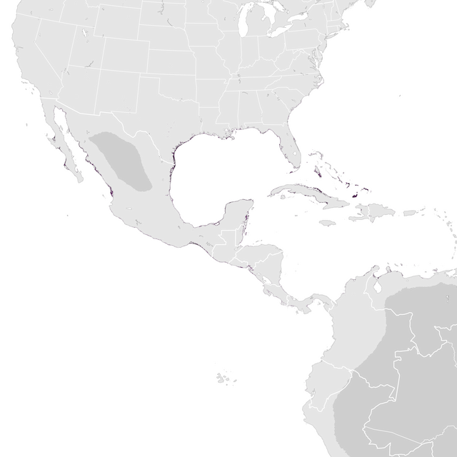 Abundance Map