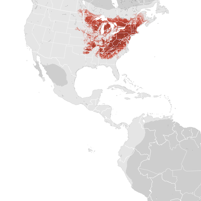 Abundance Map