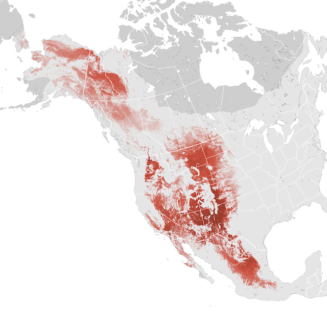 Abundance Map