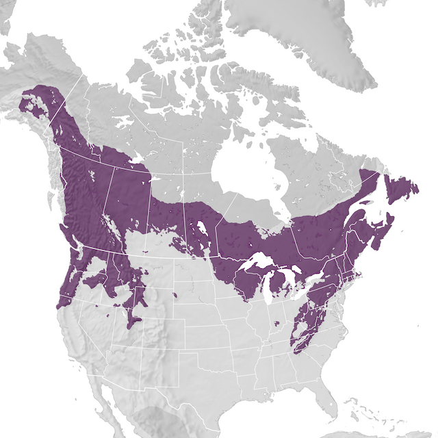 Range Map
