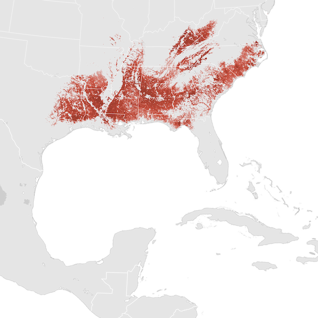 Abundance Map