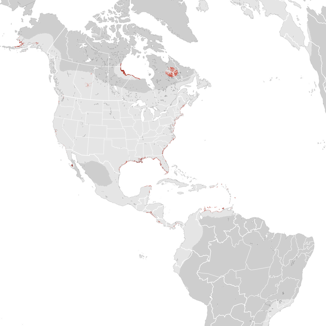 Abundance Map