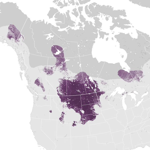 Abundance Map