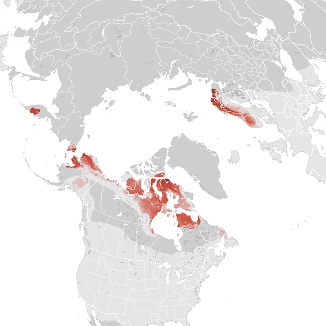 Abundance Map