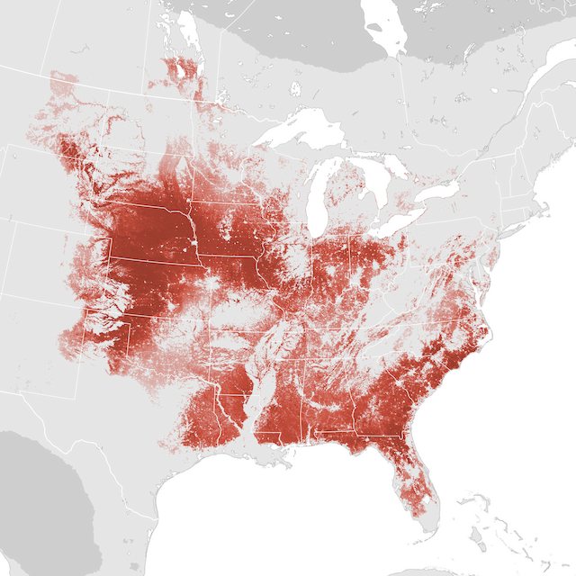 Abundance Map