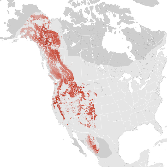 Abundance Map
