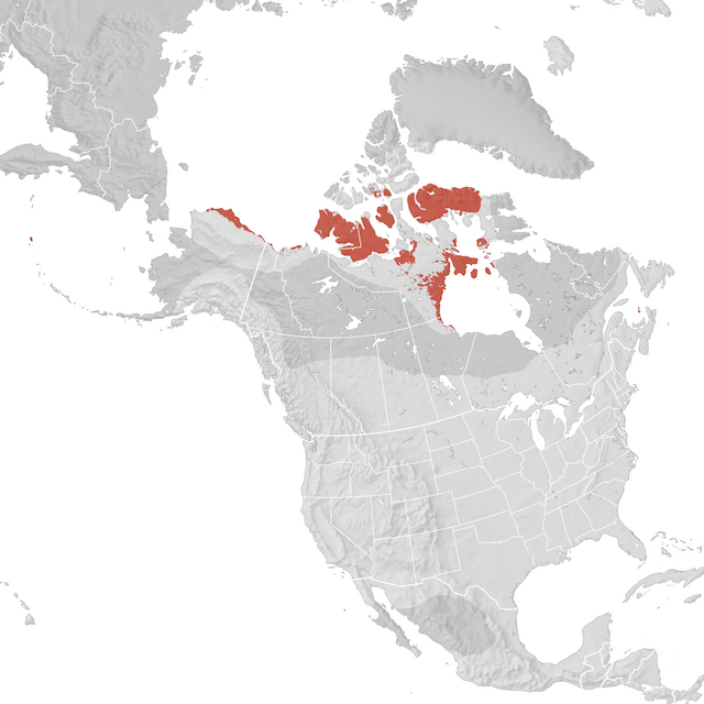 Range Map