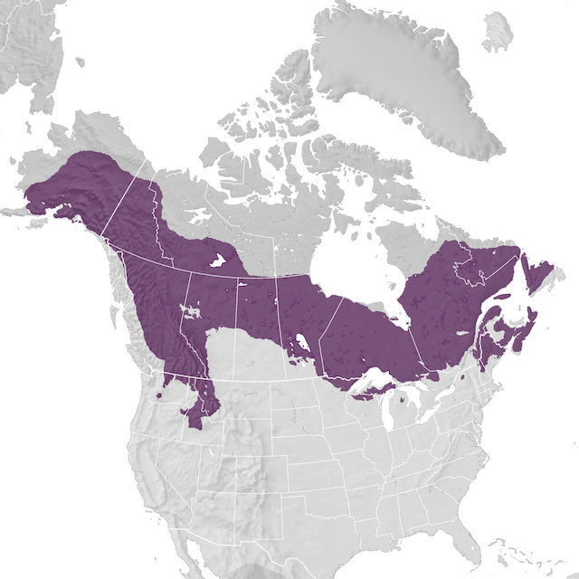Range Map