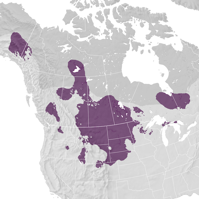 Range Map