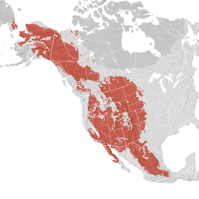 Range Map