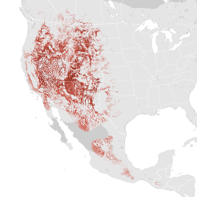 Abundance Map