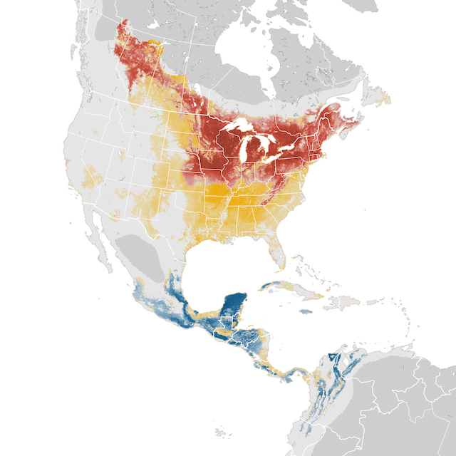 Mapa abundance