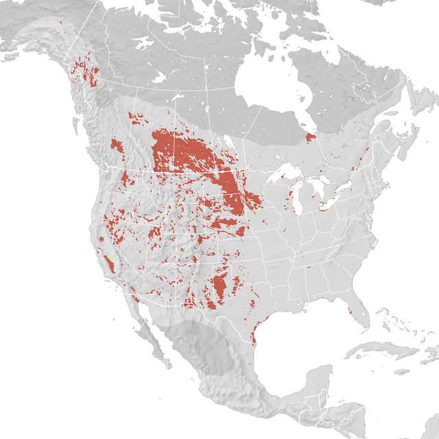 Range Map