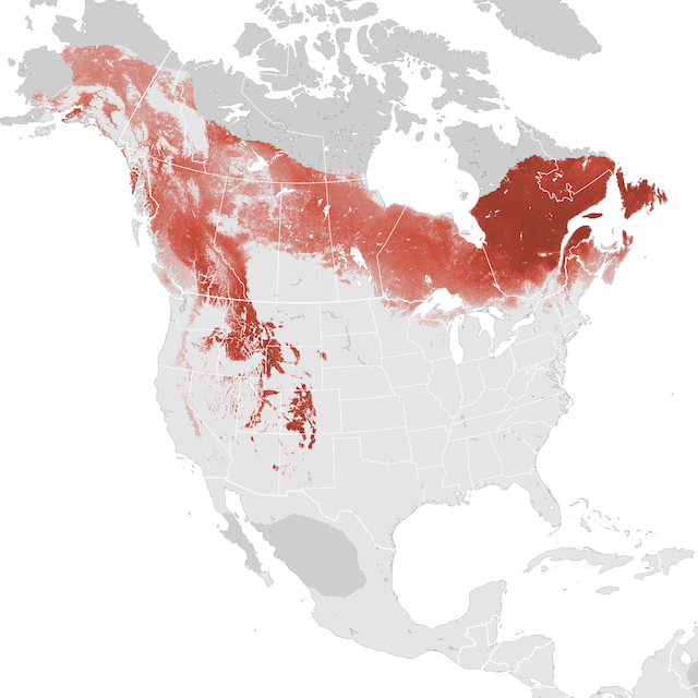 Abundance Map