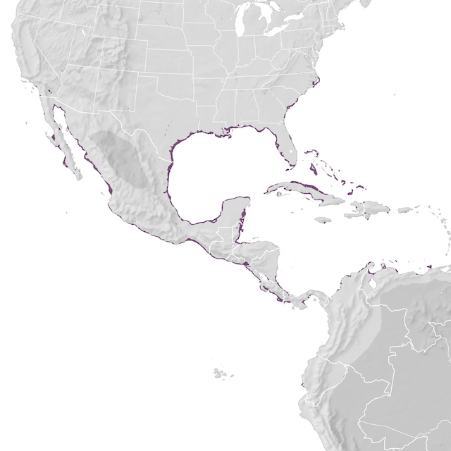 Range Map