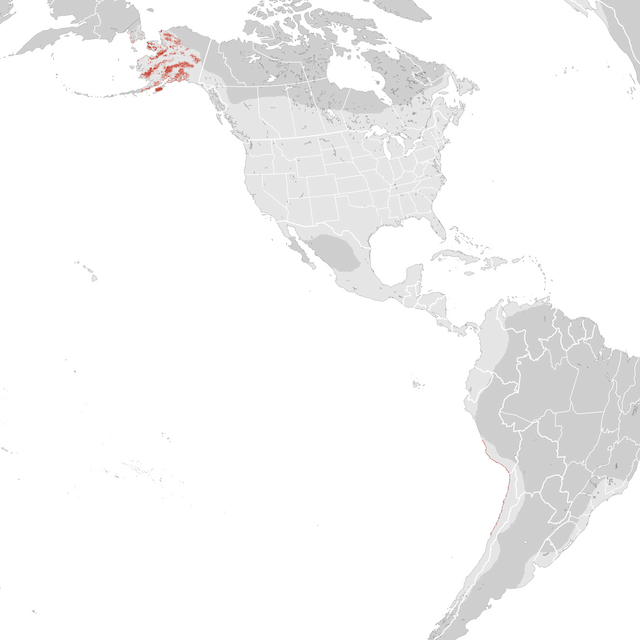 Abundance Map