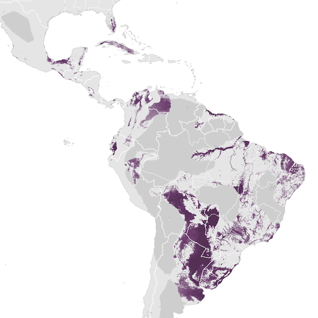 Abundance Map