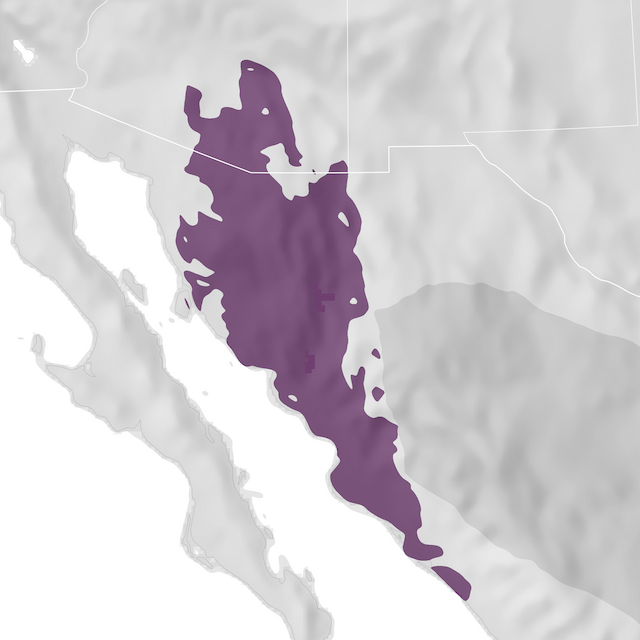 Range Map