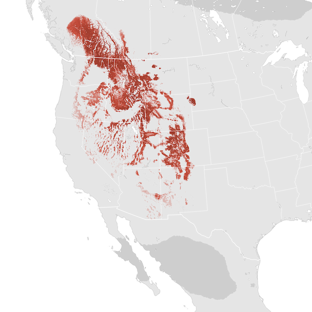 Abundance Map