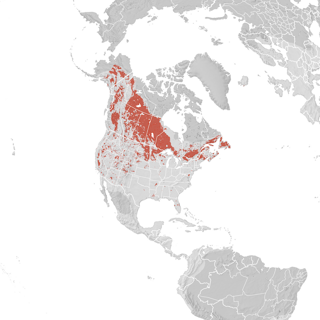 Range Map