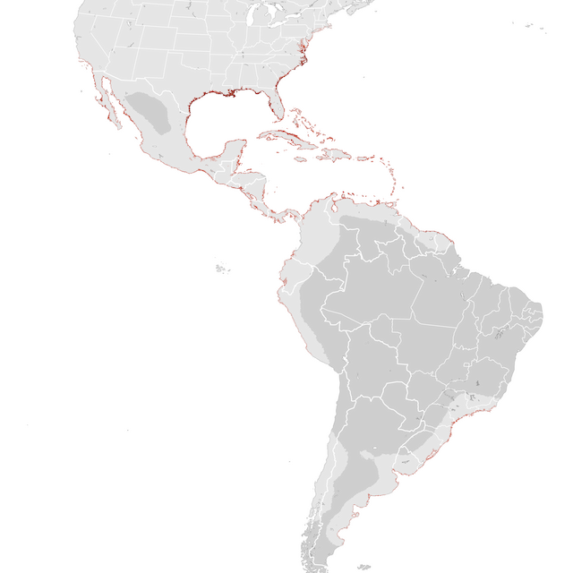 Abundance Map