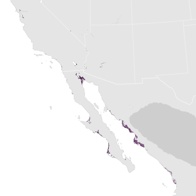 Abundance Map