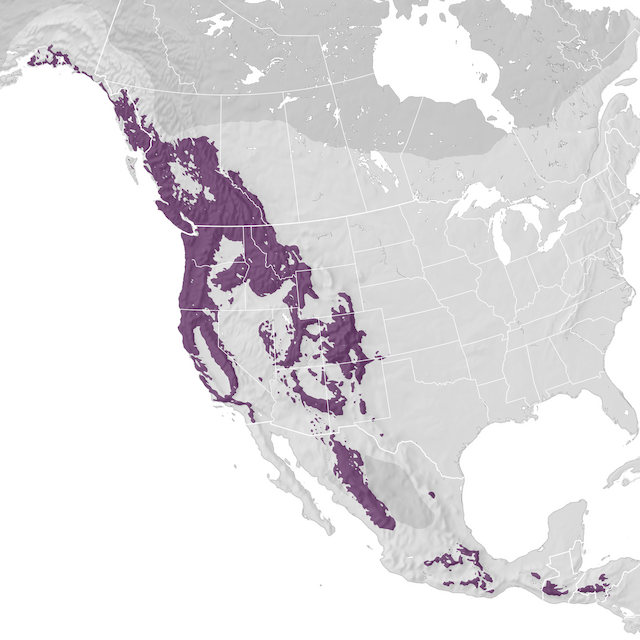 Range Map