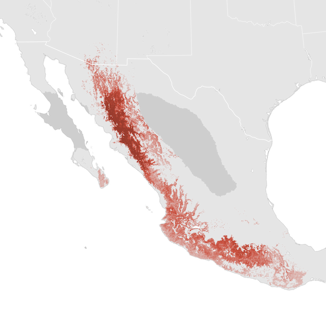 Abundance Map