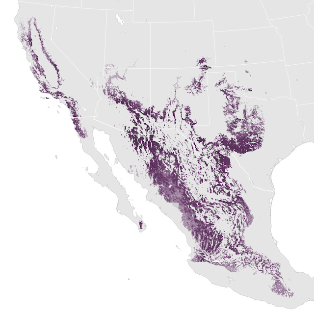 Abundance Map