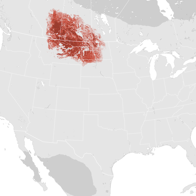 Abundance Map