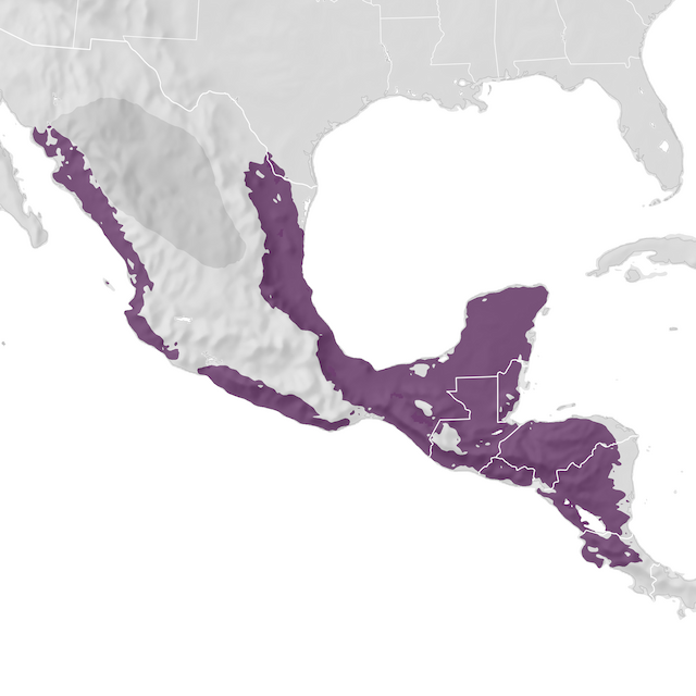 Range Map