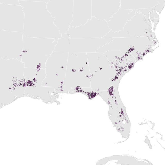 Abundance Map
