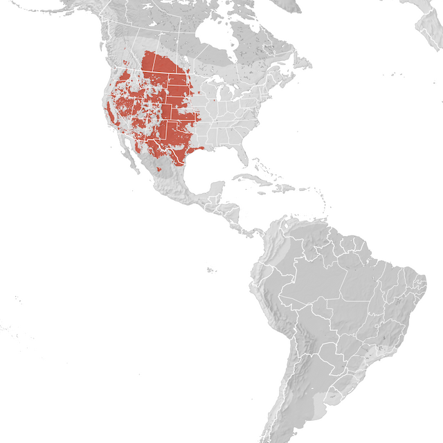 Range Map