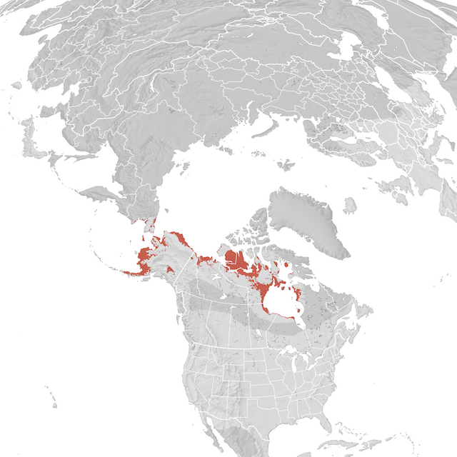 Range Map