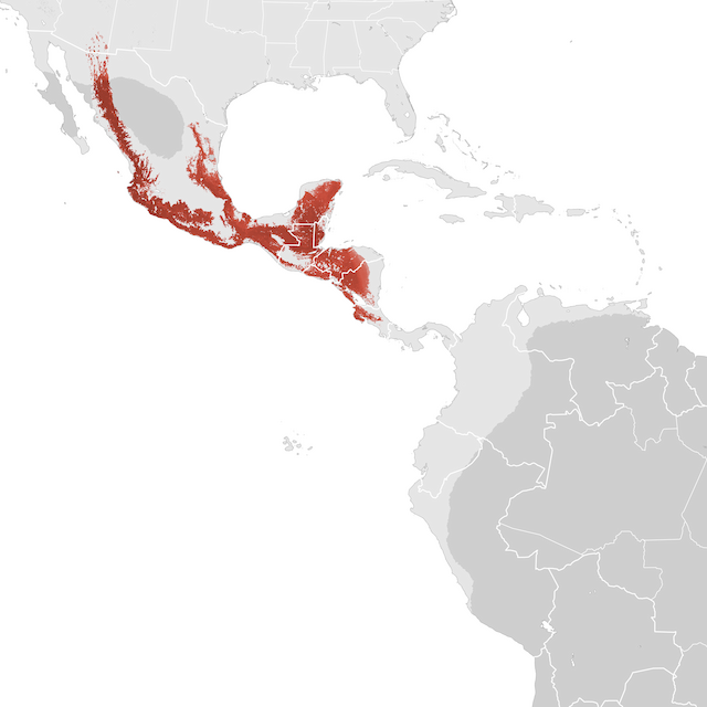 Abundance Map