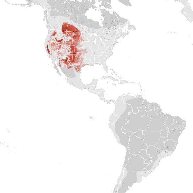 Abundance Map