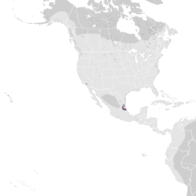 Abundance Map