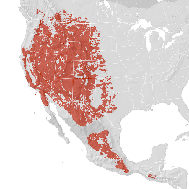 Range Map