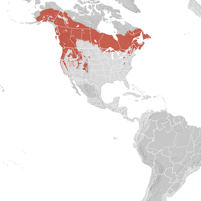 Range Map