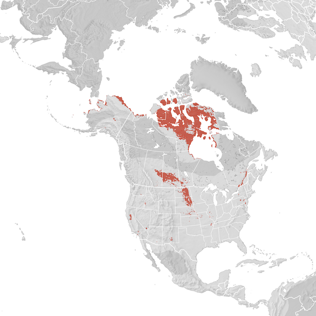 Range Map