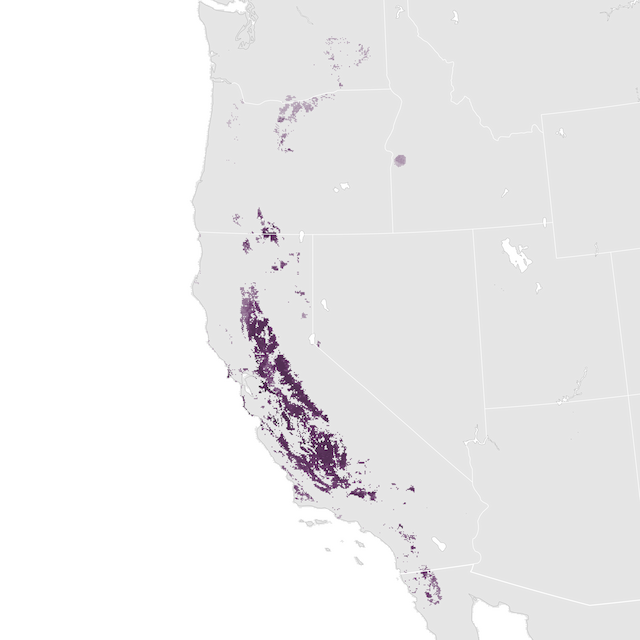 Abundance Map