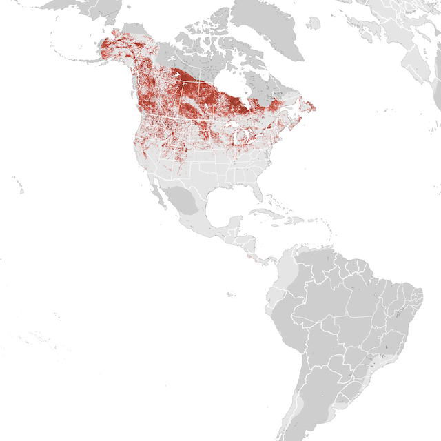 Abundance Map