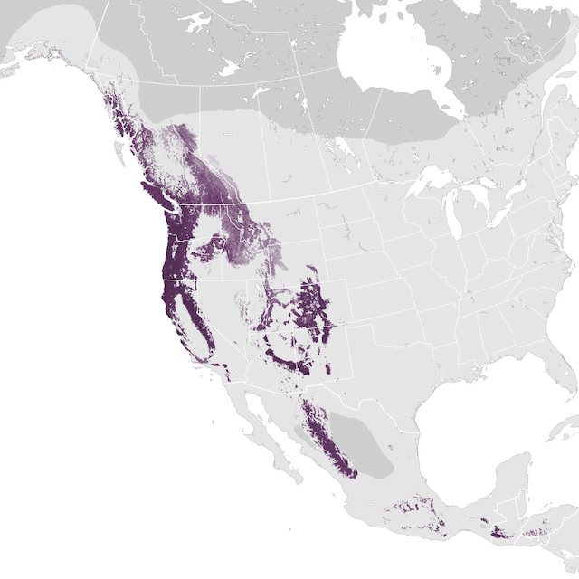 Abundance Map