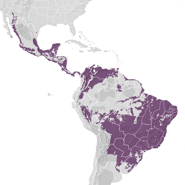 Range Map